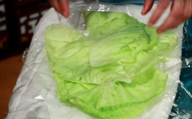 Cabbage compress for pain caused by osteoarthritis in the shoulder joint